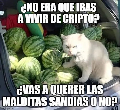 Wilson Condes tweet media