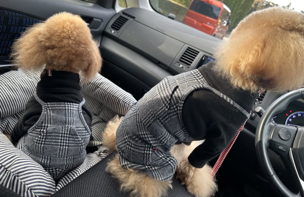 🎮 (@rkm000rkm) / Posts and Replies / X