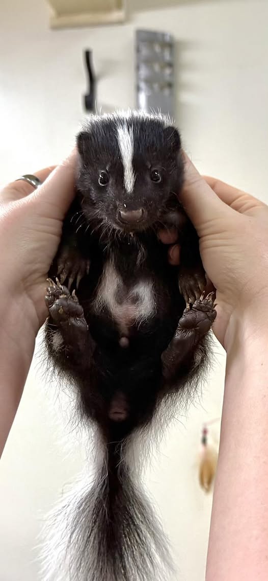 さぁ？ (@sour269) / Posts / X