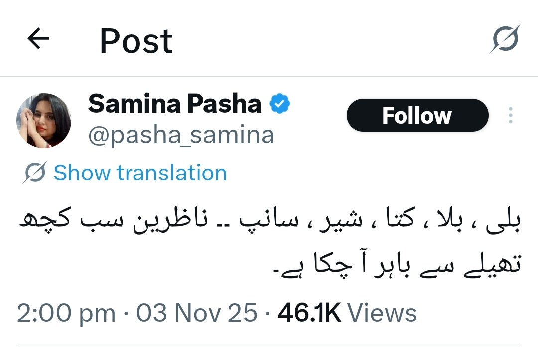 میاں عامر 🦁 tweet media