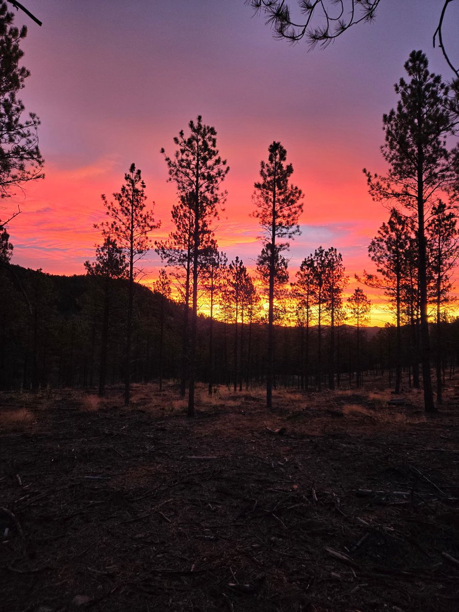 Who loves to eat wild game? ✋🏻

Between pheasant hunting and Corey’s elk hunt, let’s just say one of us brought home a little more meat for the freezer than the other! 

I’m so proud of Corey… it takes a lot of patience, skill, and grit to bring home an elk. 

That’s what I love