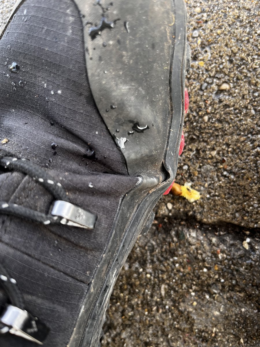 Rowan Deer, PhD tweet media