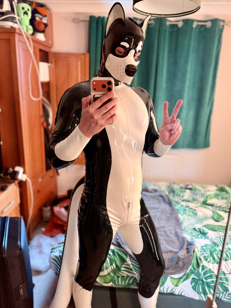 Pup Virens tweet media