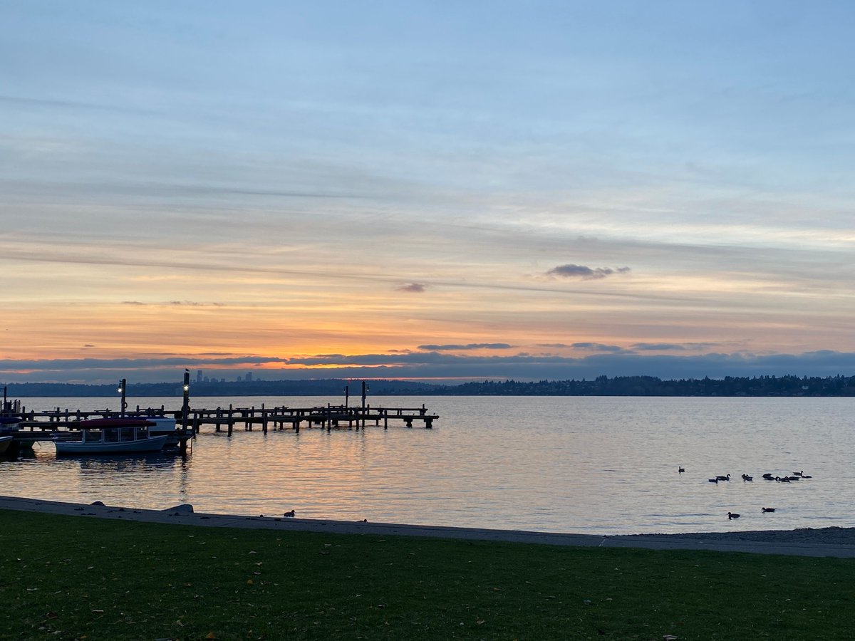 チュルチュルランド シアトル日本語情報サイト「ジャングルシティ」🇺🇸 on X