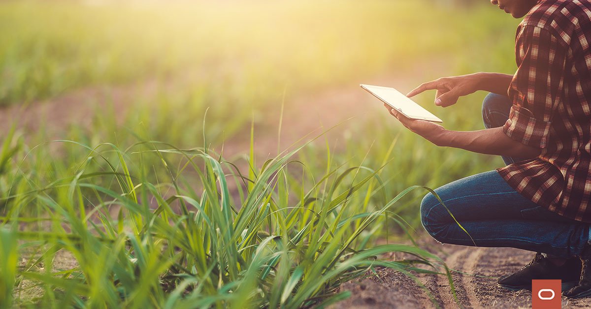 A margine della 79ª Assemblea Generale delle Nazioni Unite, Oracle ha presentato  #Government #DataIntelligence for #Agriculture, una soluzione infusa di #AI che aiuta i leader mondiali a creare sistemi alimentari più resilienti.

Su <a href="/techbusinessit/">techbusiness</a>: social.ora.cl/60167JC1C