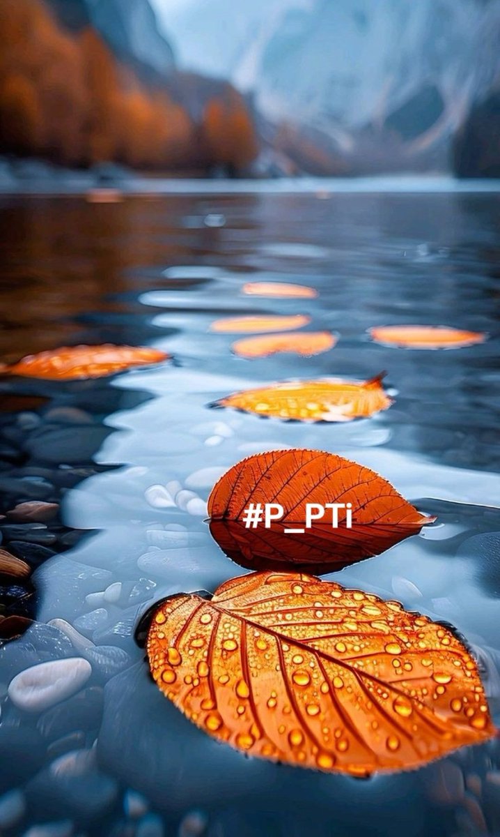 ༺ 💎𒆜𝑵𝑬𝑬𝑵𝑨𝑯𒆜💎 ༻ tweet media