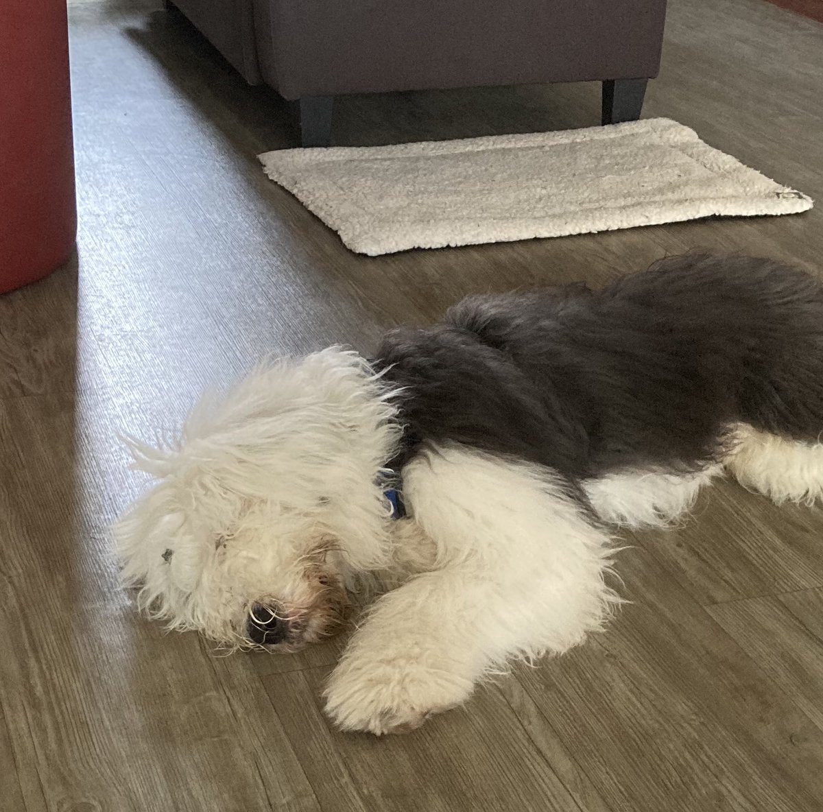 Slow start to the week. 💤