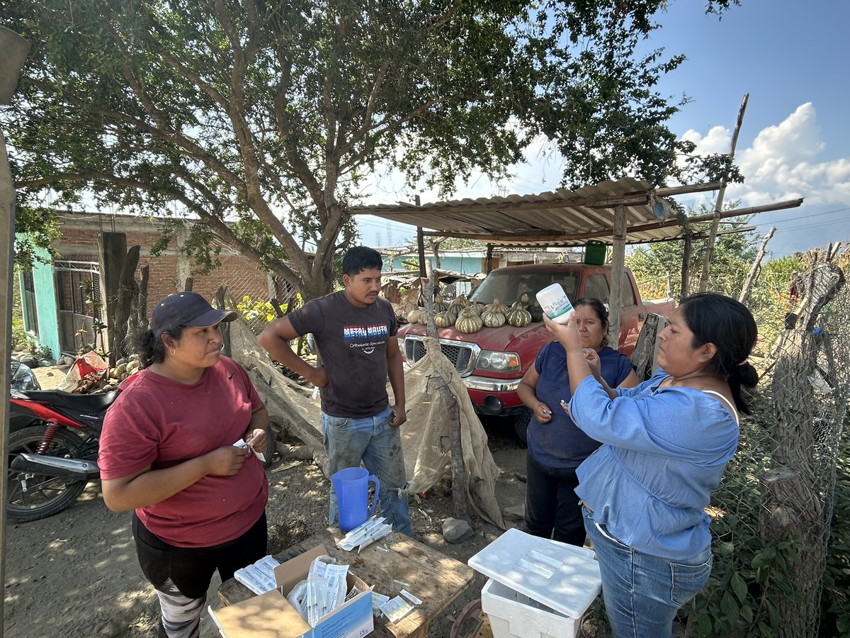 Mujeres de En Pro de la Mujer Jalisco vacunaron 1,395 nuevas aves 🐔 fortaleciendo su producción familiar en 7 comunidades rurales.
Cada acción suma al bienestar animal y al crecimiento de sus proyectos. 💪🌾
#EnProDeLaMujer #Educampo #MujeresRuralesJalisco #Alfresco