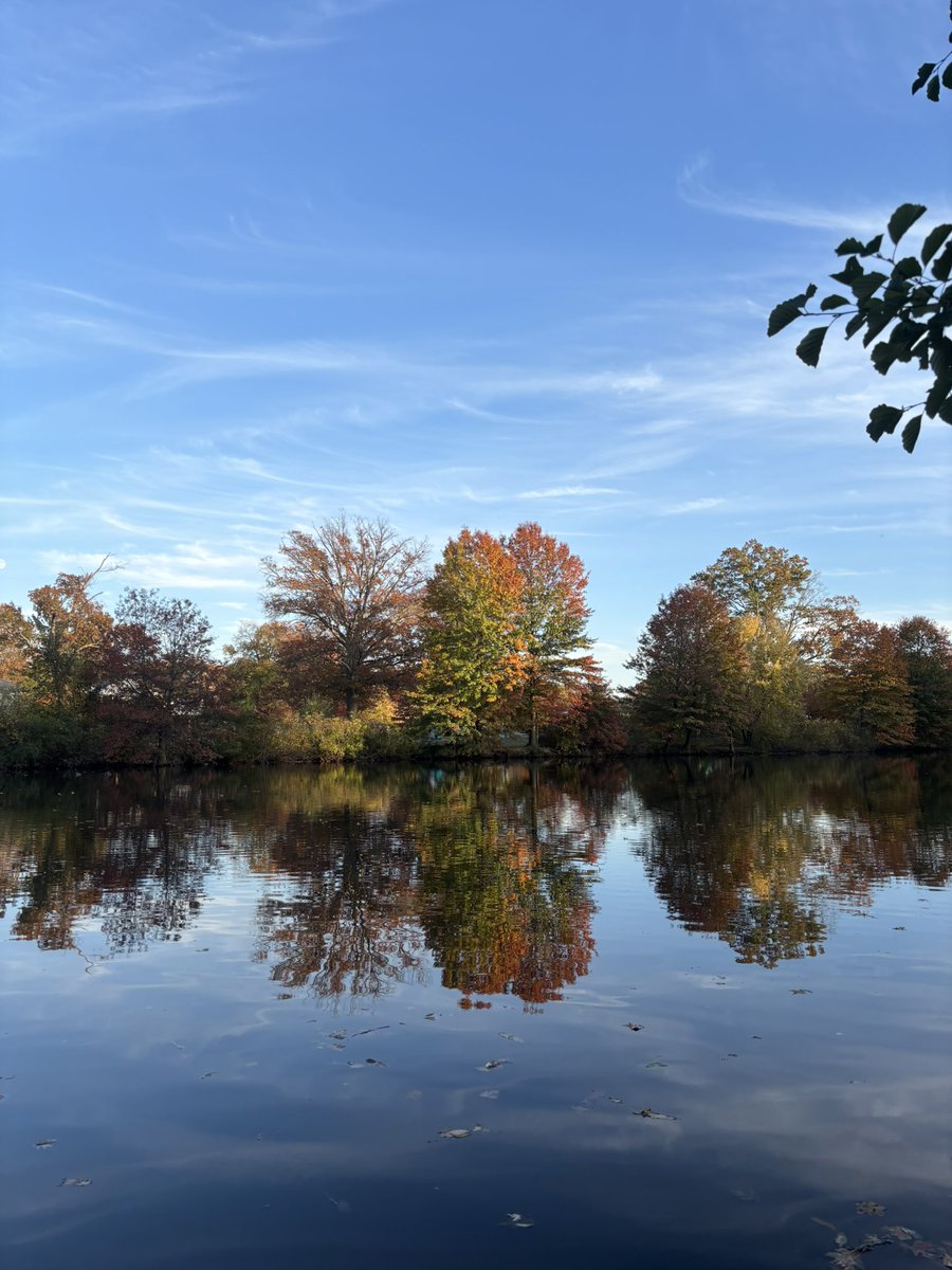 Took some pictures during my walk yesterday! I love this time of year sm