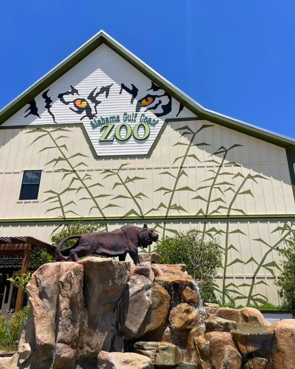KaiserVacations's tweet photo. Headed to the Alabama Gulf Coast this winter? 🚗✨ We’ve mapped your perfect getaway — from beach mornings to zoo afternoons and the best dinner spots!

Read here 👉 https://t.co/zJ94VGKswu

#gulfcoast #explorealabama #travelalabama #itinerary https://t.co/Ju8M4IE9cT