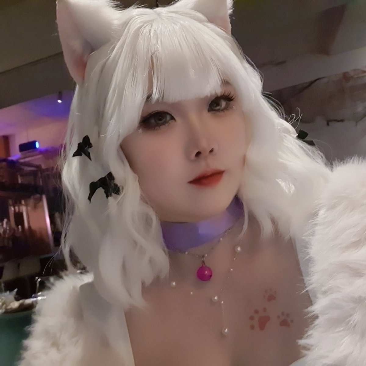 할로윈 투들스로 알차게 즐기다 왔담여 예쁜 인어들이랑 저승사자(?) 랑 우리 톰이랑 즐데하고 2일동안 기절 👍🏻