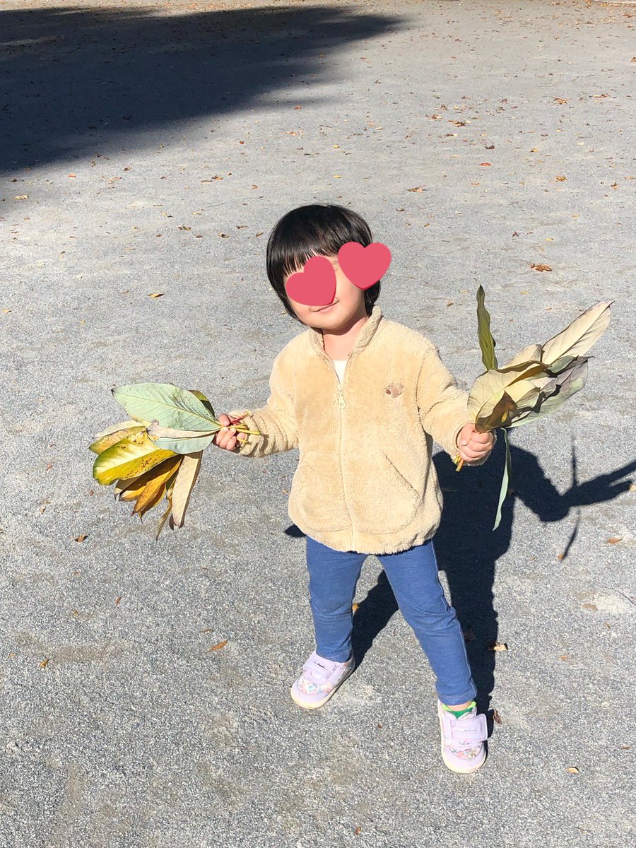 インフル組(私と息子)は自宅療養のため、パパと娘で少し遠目の公園に出かけてくれたんだが、この葉っぱでずーっと遊んでたらしいし、ベビーカーの下のカゴにいっぱいこれ持って帰ってきたwwww🤣😱

そして元気いっぱいの息子と家で2人は辛い。49平米の極狭の家でずっと走り回ってる