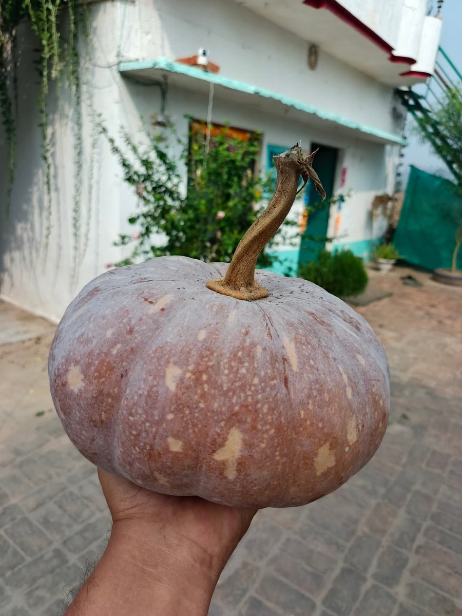 क्या नाम है इसका? मै भूल रहा हूँ ...