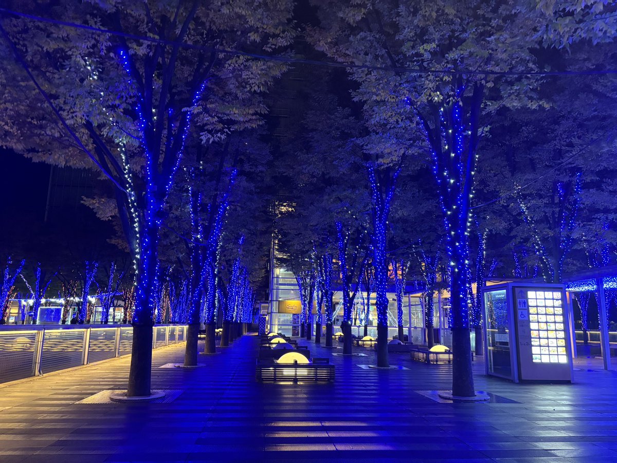 イルミネーション見に来た✨️
静かでキラキラで落ち着く〜