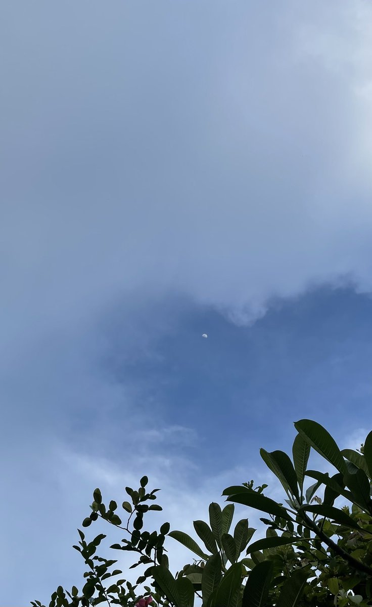 AreteCx (@aretecx) / Posts / X