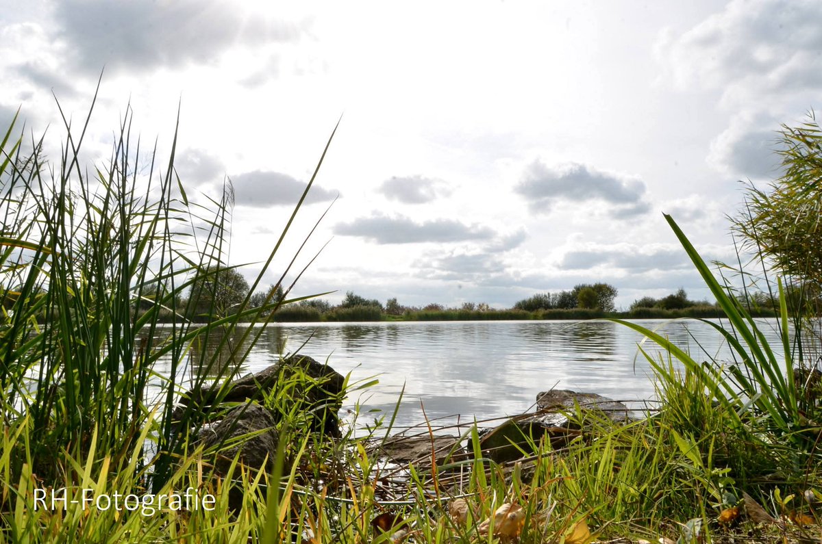 Ramona Heidi Op' t Holt tweet media