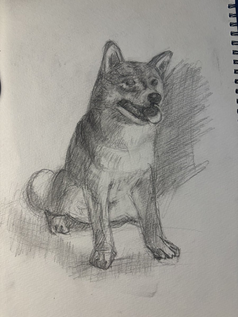 柴崎先生の動画真似しながら描いたら上手く書けた^_^#柴崎現象 #イラスト
#フォートナイト