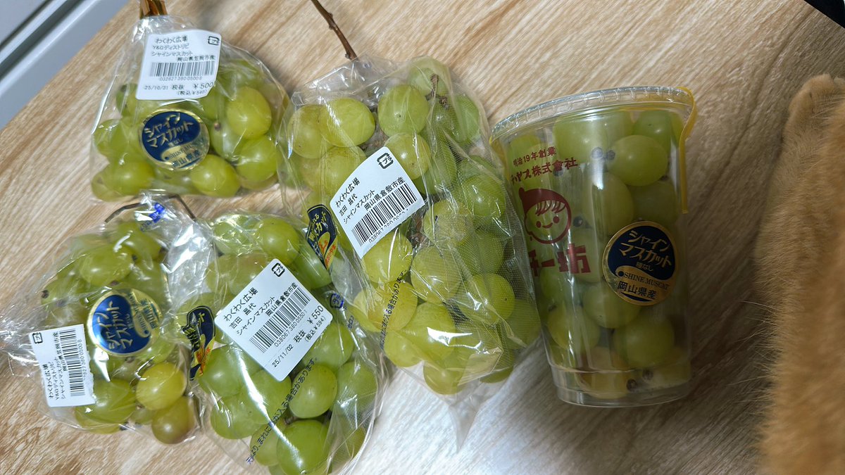 関東寒いッ‼️‼️

シャインマスカットが、今年最後の収穫分とか、書かれてたので思わず狂い買いしてしまいまいた。。。

後悔はしてません💚🍇