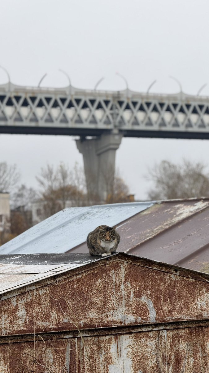 Здравствуйте, с вами паблик уютные ебеня