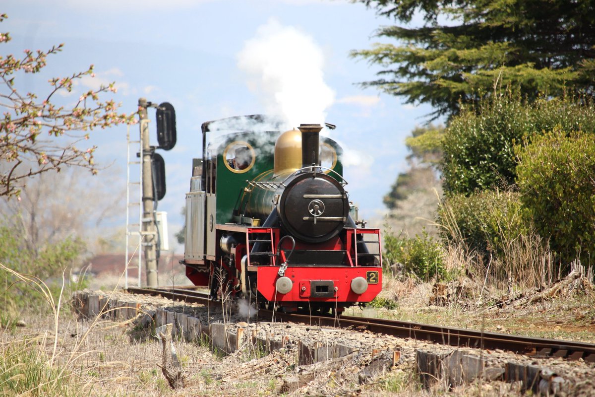 イッチィー (@haruno_tutuji) / Posts / X