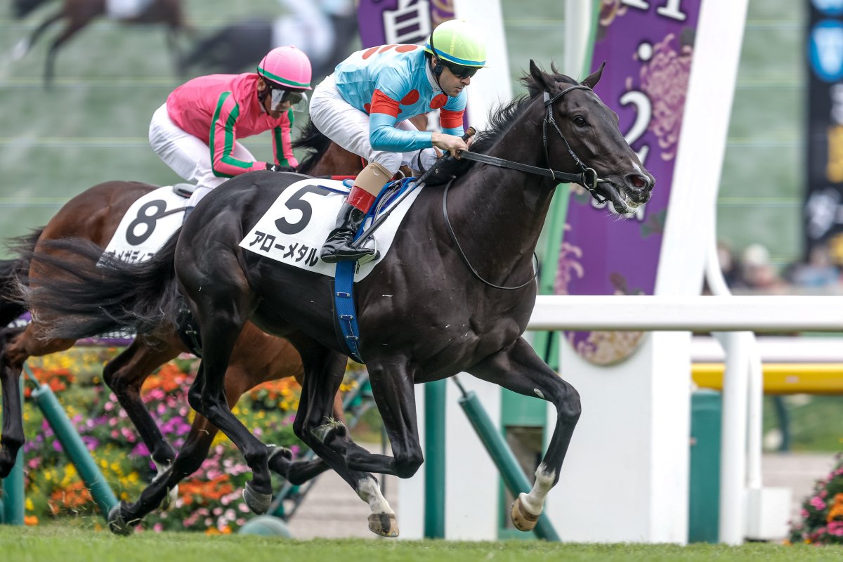 まねき馬 25周年レインボー 1928クリストフ・ルメール騎手 2025年最新