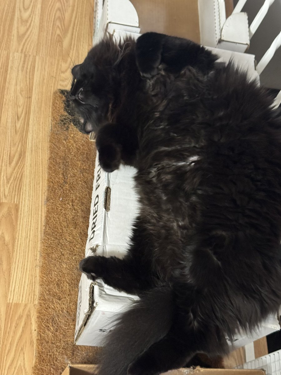 parker ✶⋆.˚ (@djocassette) on Twitter photo 