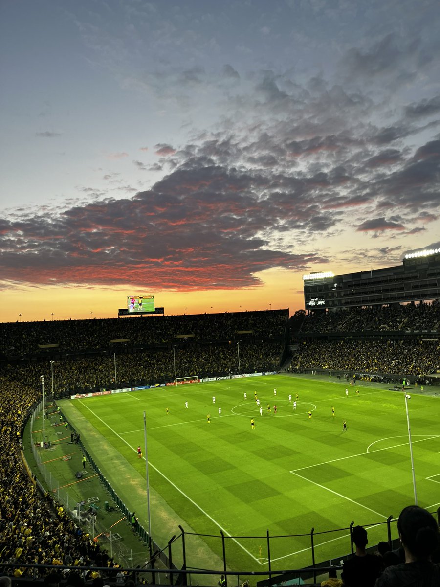 ___rochi's tweet image. te amo Peñarol