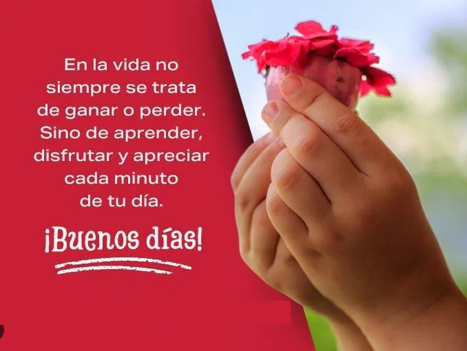 Amiga…
Amigo…
¡BUEN DÍA…!
La vida no es una competencia 🧭✨
Ni se trata de ganar o perder, sino de aprender a disfrutar el viaje 🚴‍♂️🌅
Cada minuto vale, incluso los que parecen pequeños o rutinarios 💫
#Aprender #VivirConSentido #DisfrutaElCamino
CCP: <a href="/conradoqr/">Conrado Quezada R. 🐍</a>