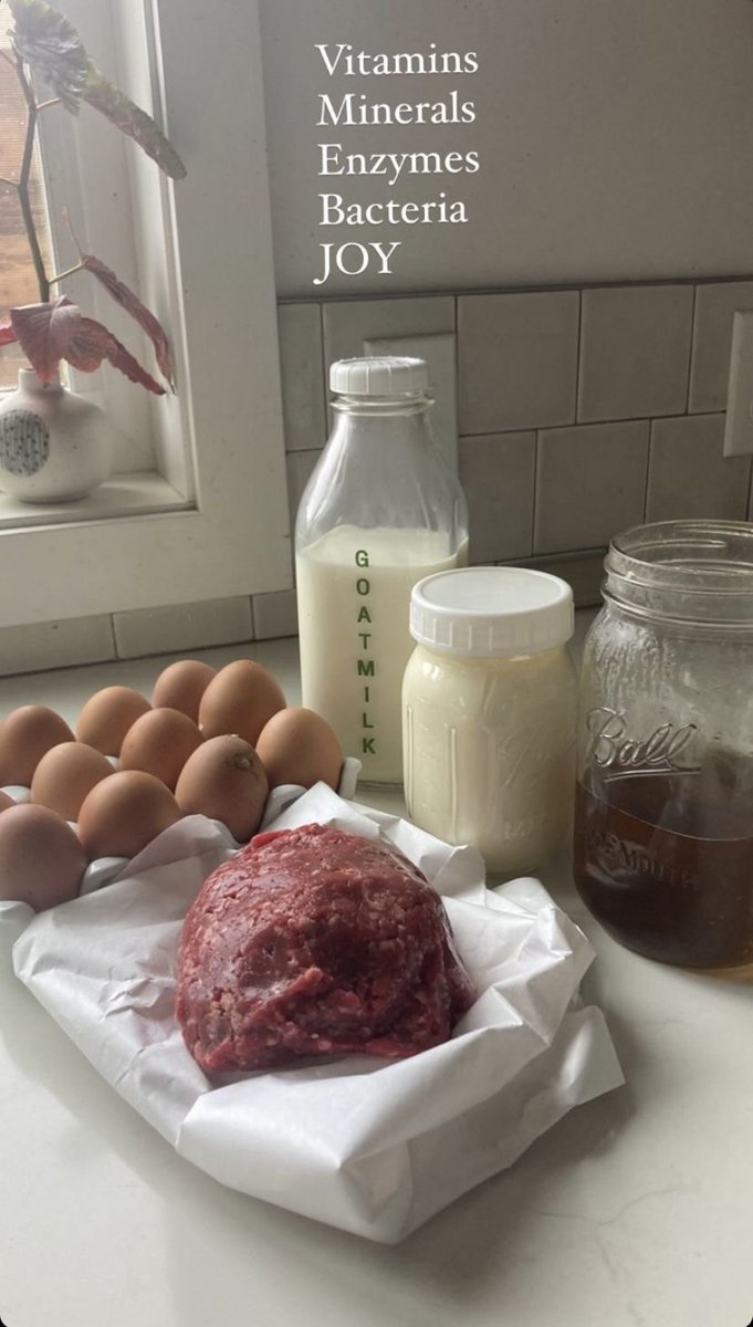 Testmaxxing Diet:
-red meat
-eggs
-raw dairy
-organs
-fruit
-bone broth + bone marrow
-raw honey
-raw butter/tallow
-water (coconut water)
-sunlight (yes that's part of the diet)