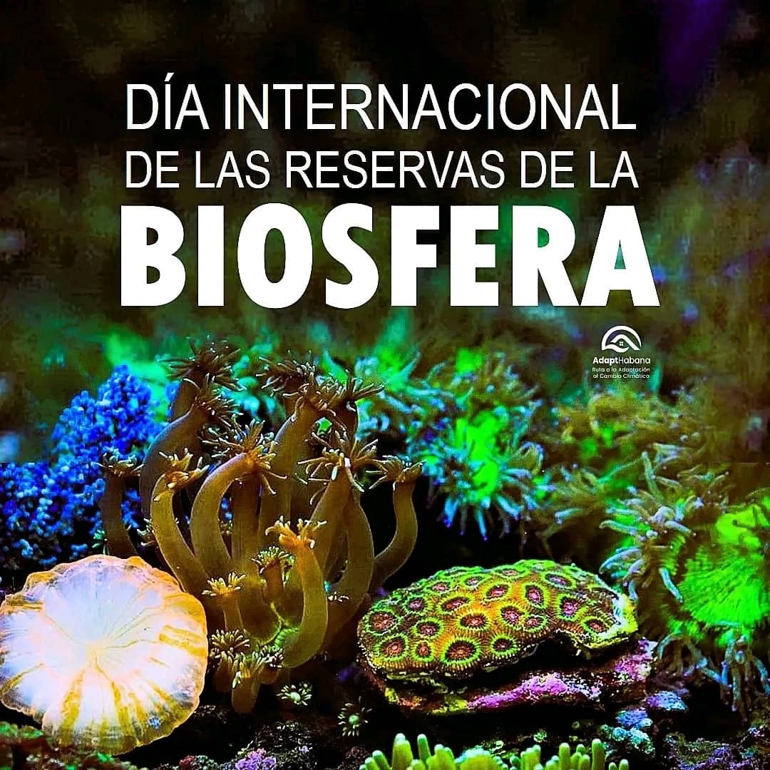 El Día Internacional de las Reservas de la Biosfera destaca la importancia de conservar la tierra, el mar y sus ecosistemas como una prioridad global. 
<a href="/citmacuba/">Ministerio de Ciencia, Tecnología y Medio Ambiente</a> <a href="/AMA_CUBA/">AMACuba</a> <a href="/AsambleaCuba/">Asamblea Nacional Cuba</a> 
#PnudCuba #MedioAmbiente