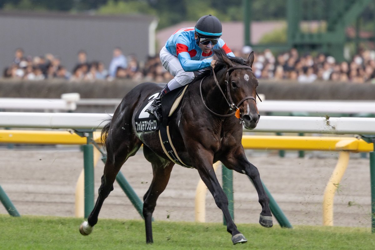 JKworks「紅葉」 紅葉🏇 on X