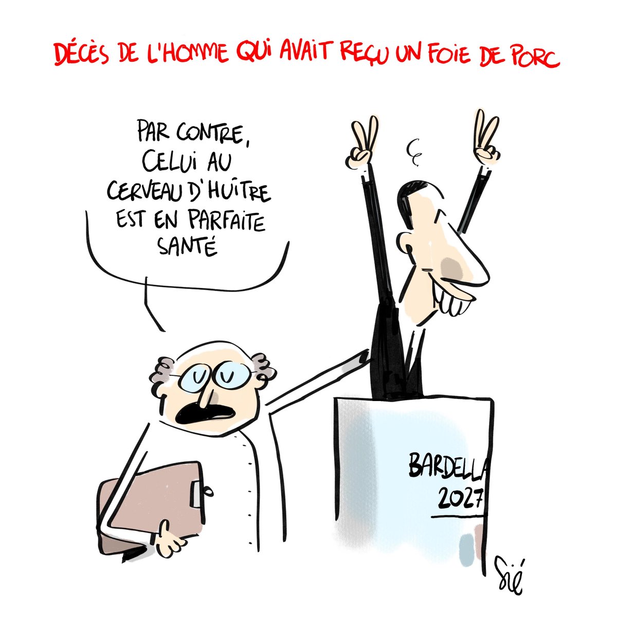 Bardella vu par Sié 😅😂