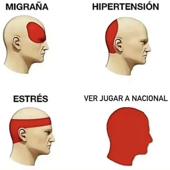 Ale Tricolor1899 (@aletricolor11) on Twitter photo 