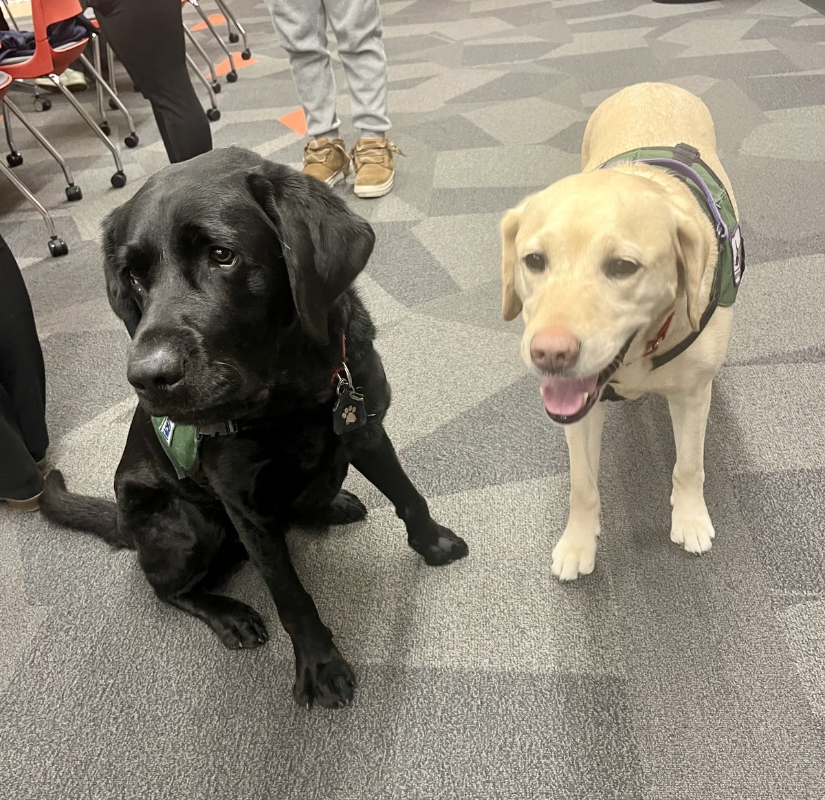 Cathy Koenig tweet media