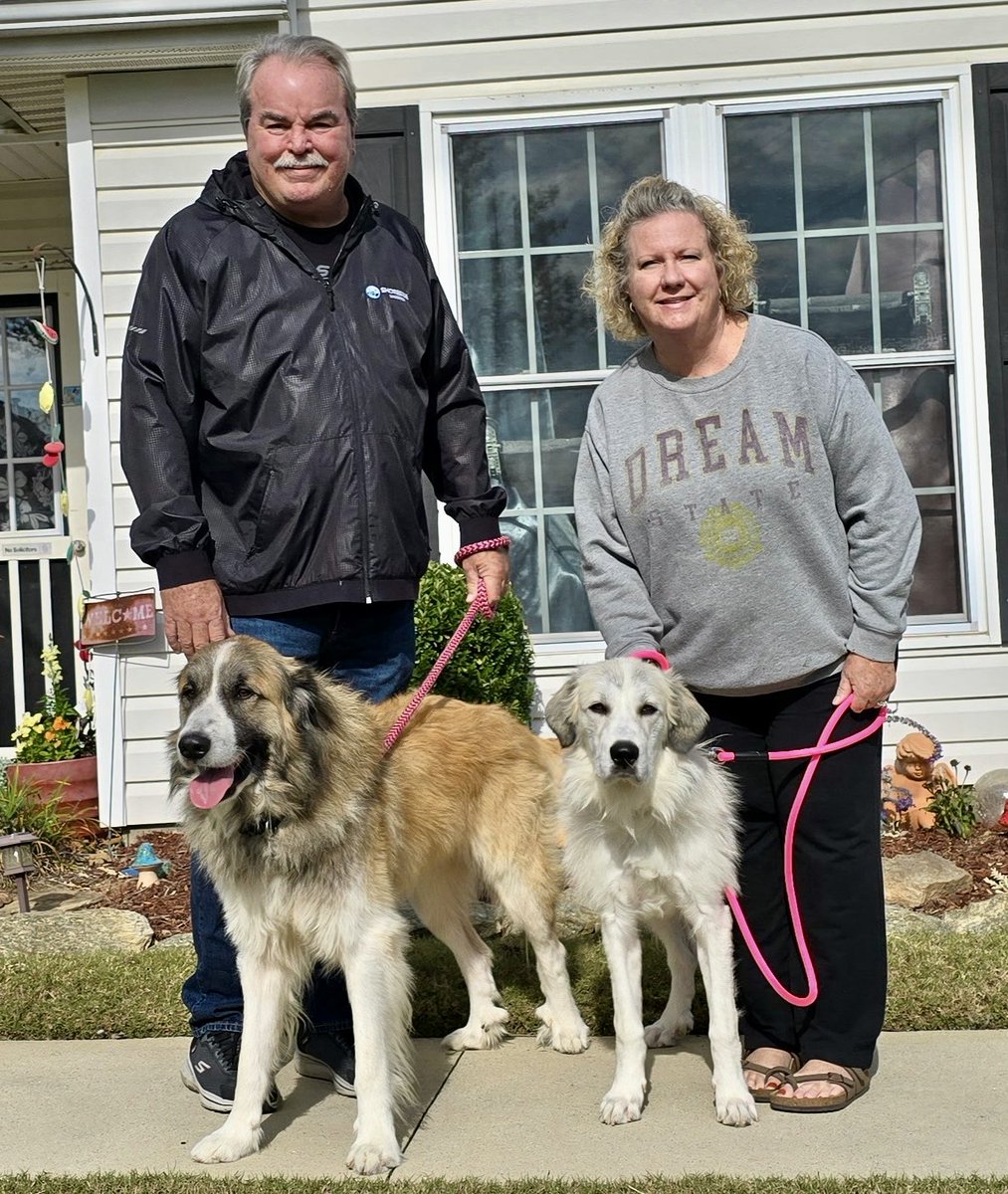 GPRAtlanta's tweet image. Congrats to Coco (aka Autumn) and Chief for adopting these wonderful humans from Kingsland, Ga!