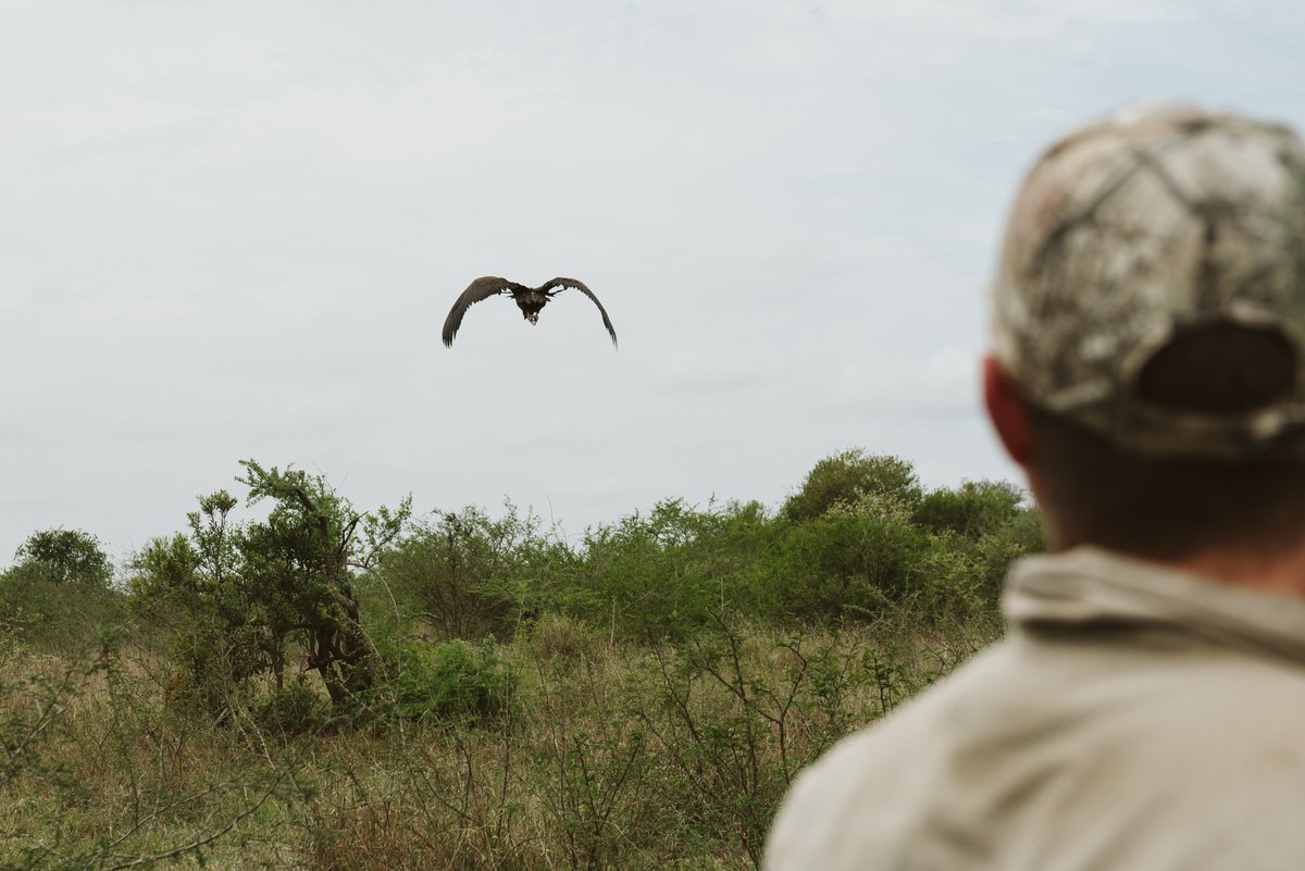 WildlifeACT tweet media