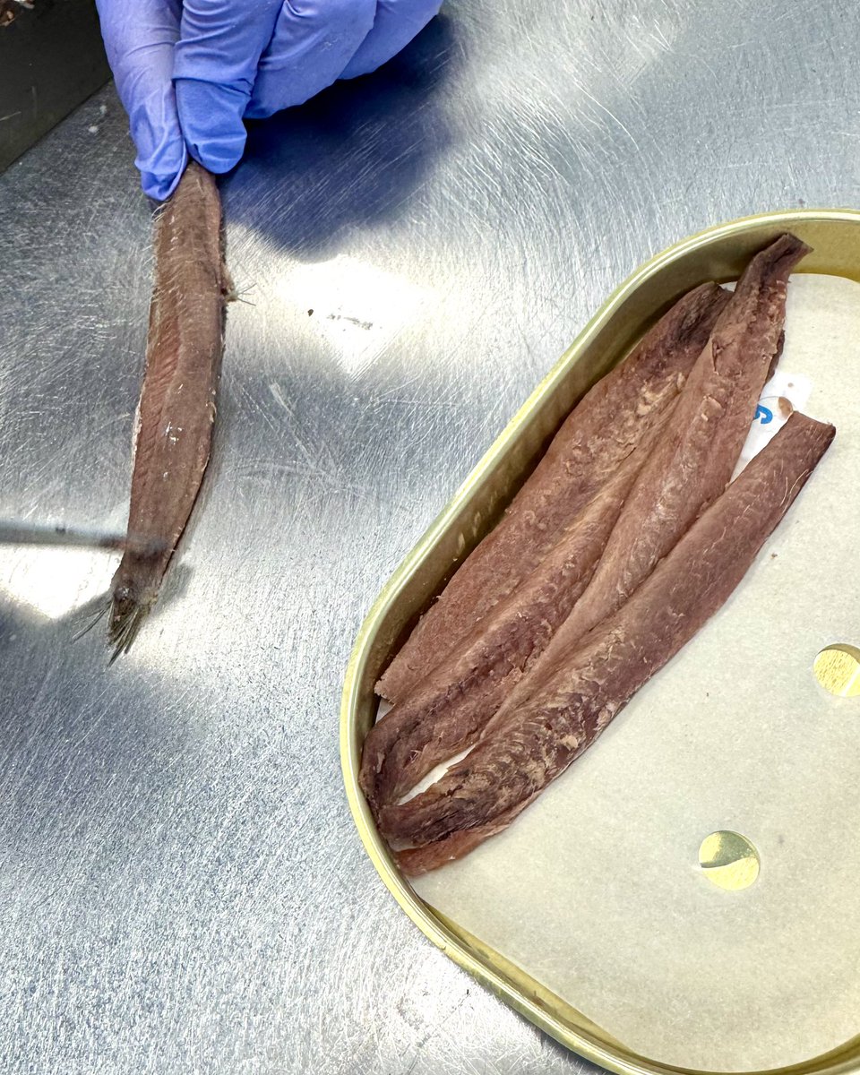 ConservasDMingo's tweet image. Imagen de una de nuestras mujeres con el cuchillo en la mano.
Se puede apreciar como comienza a sobar el bocarte después de un año y medio madurando en el barril.
Artesanía pura!!
🐟🌊💢👋 
#ConservasdeMingo #ConservasDMingoCrew #Artesanía #DelMarATuMesa #Food #Anchoas #Luxury