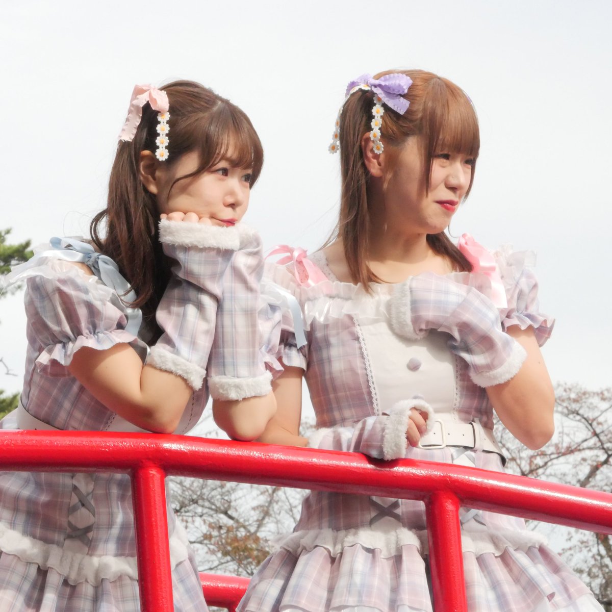 soyuki3's tweet image. 2025年11月02日（日）
ｶﾞｰﾙｽﾞq/b１１周年記念フェス
［烏ケ森公園　野外音楽堂］
で、ライブ前の待ち時間の間に、Mike☆miKeｻﾝとお散歩撮影会

#みけみけ
#みーにゃんみっけ