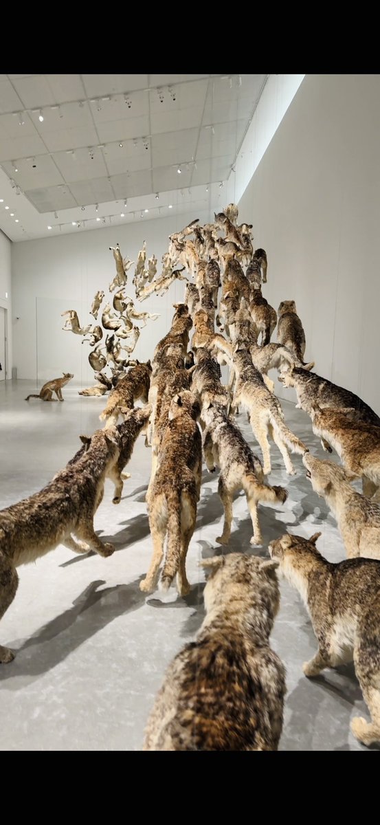 俯瞰風景 ビジュアルデザインキャンバス 空の境界 ダイニング HIROMA15