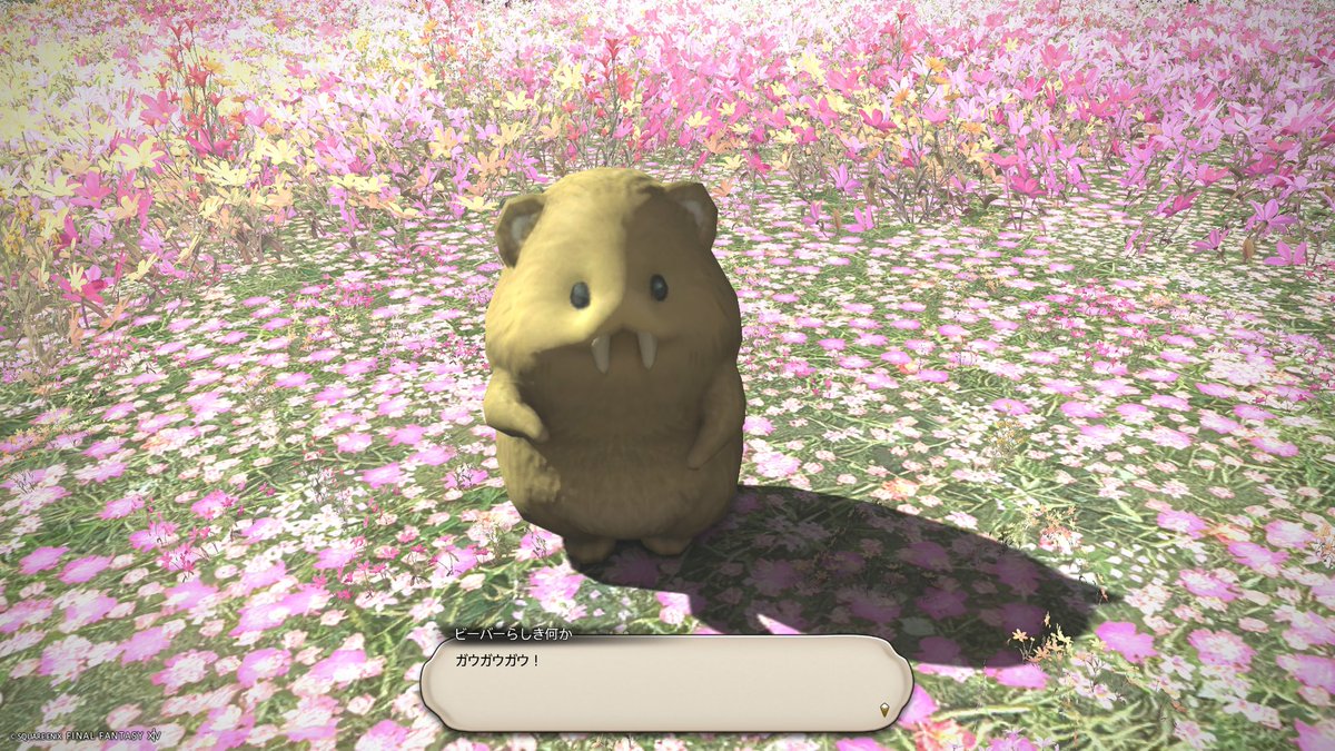 今まででいちばん笑えばいいのか怖がればいいのかわからない存在No.1かもしれない