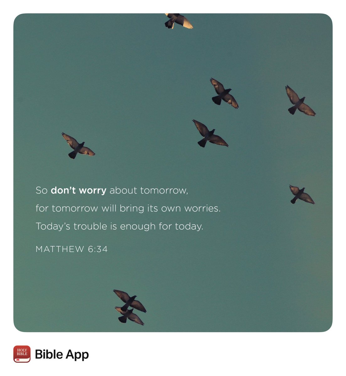 So don’t worry about tomorrow, for tomorrow will bring its own worries. Today’s trouble is enough for today.
Matthew 6:34