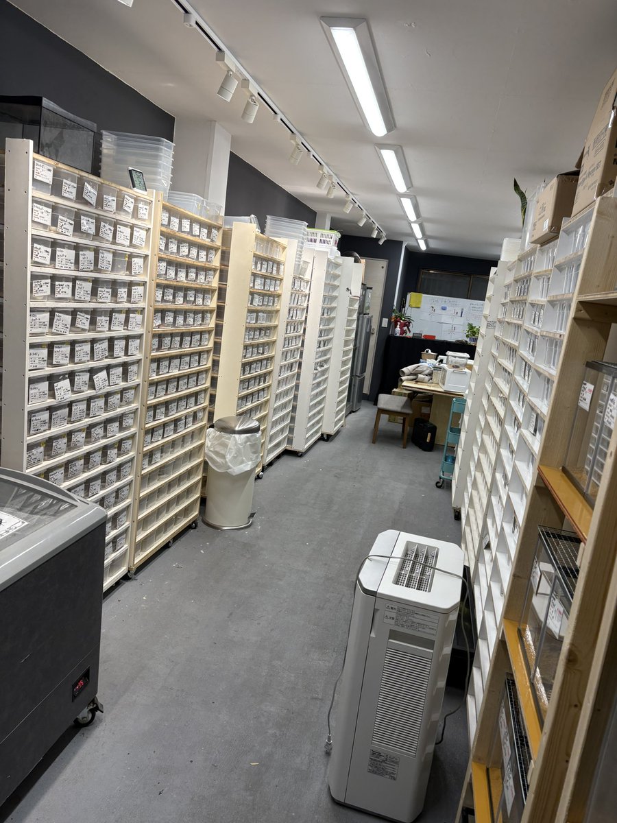 ぽぽ様　オーダーメイド　クレスシェルター　No.17 ぽぽ様 オーダーメイド クレスシェルター No.17