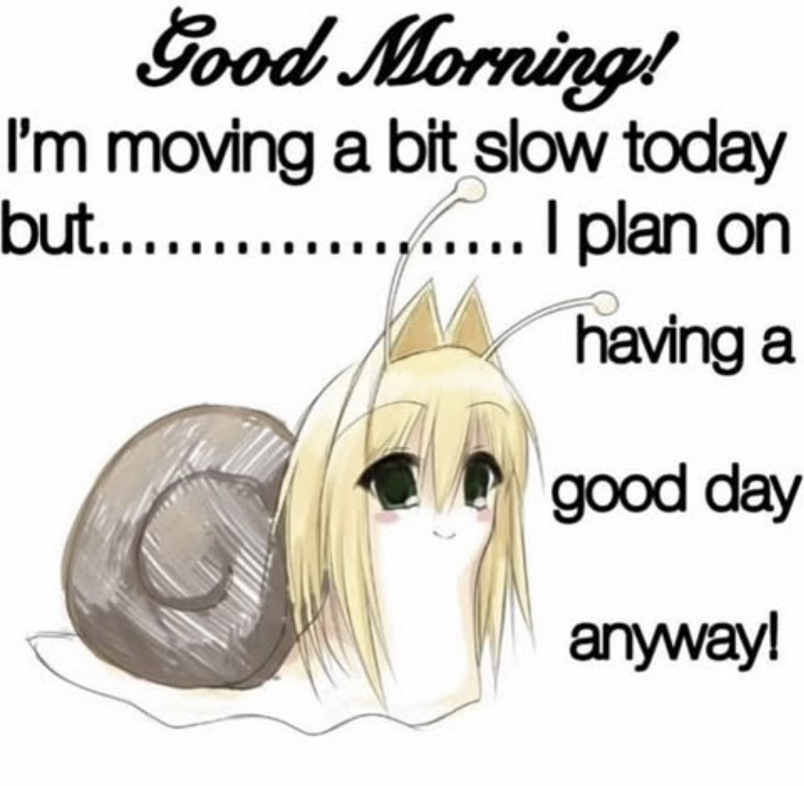 MeatloafCat tweet media