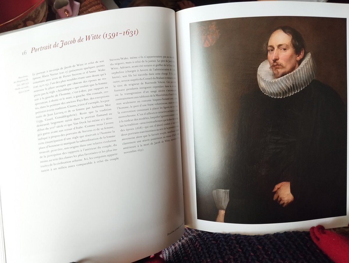 Dans cet ouvrage, le musée Jacquemart-André retrace les grandes étapes de la carrière du peintre Antoon Van Dyck à travers un genre où il excella : l'art du portrait.

Parmi les toiles les plus marquantes, l'on y retrouve les portraits du seigneur Jacques de Witte et de son