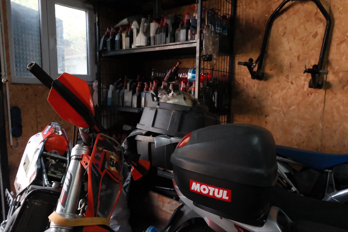 Timur_özer (@temour_ozer) on Twitter photo 