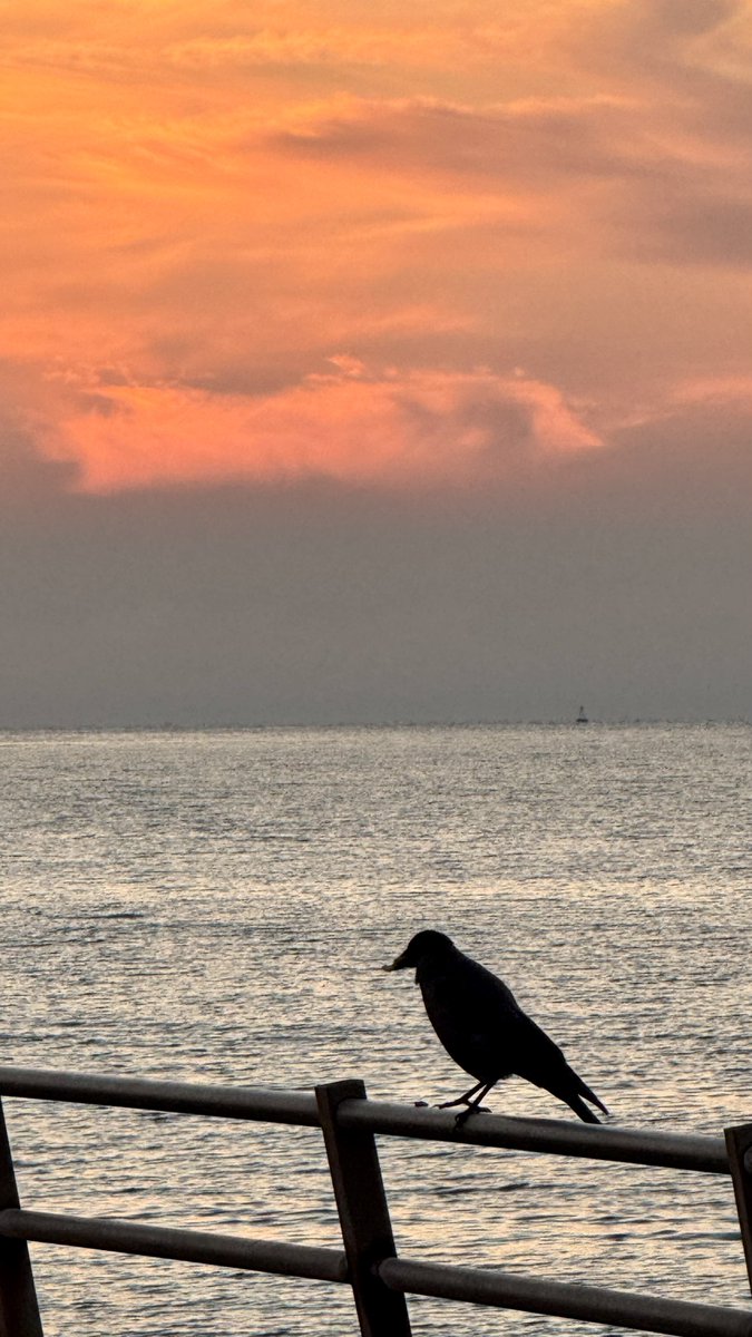 Καλησπέρα στην ομήγυρη, πως είναι η μέρα σας? (Το πρωί την τράβηξα τώρα βρήκα χρόνο😅)