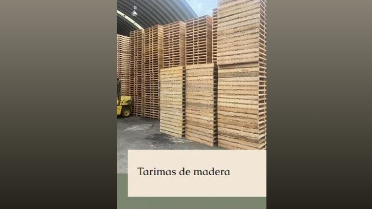 QuimiNet's tweet image. #TYET #TarimasDeMadera HT. Ver: quiminet.com/noticias/tyet-…