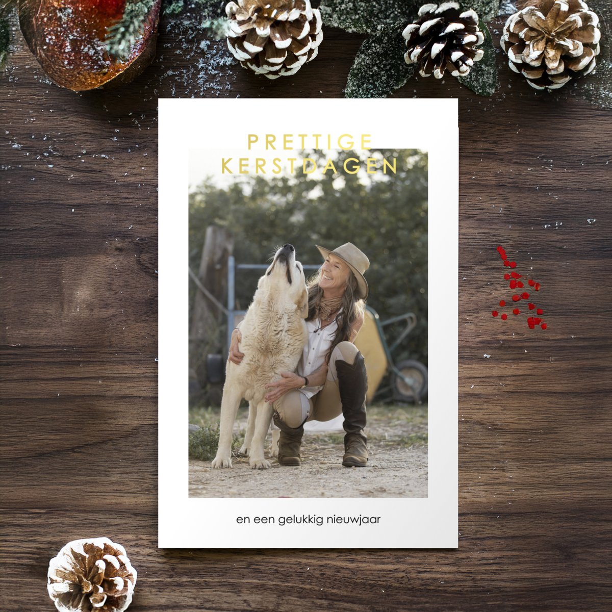 Eenvoudige #kerstkaart met eigen foto en gouden tekst.
koningkaart.nl/kerstkaarten/m…