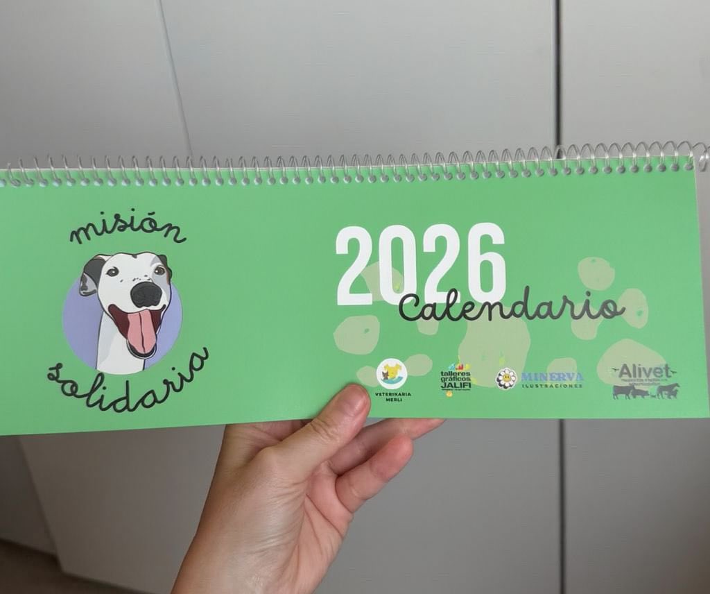Lanzamos la venta de calendarios2026 !
El valor de cada uno es de 20.000$ y tenés distintas posibilidades de envío
llegamos a todo el país a través de correo argentino
mandame un DM que te cuento cómo podés comprarlo 
Gracias y RT!