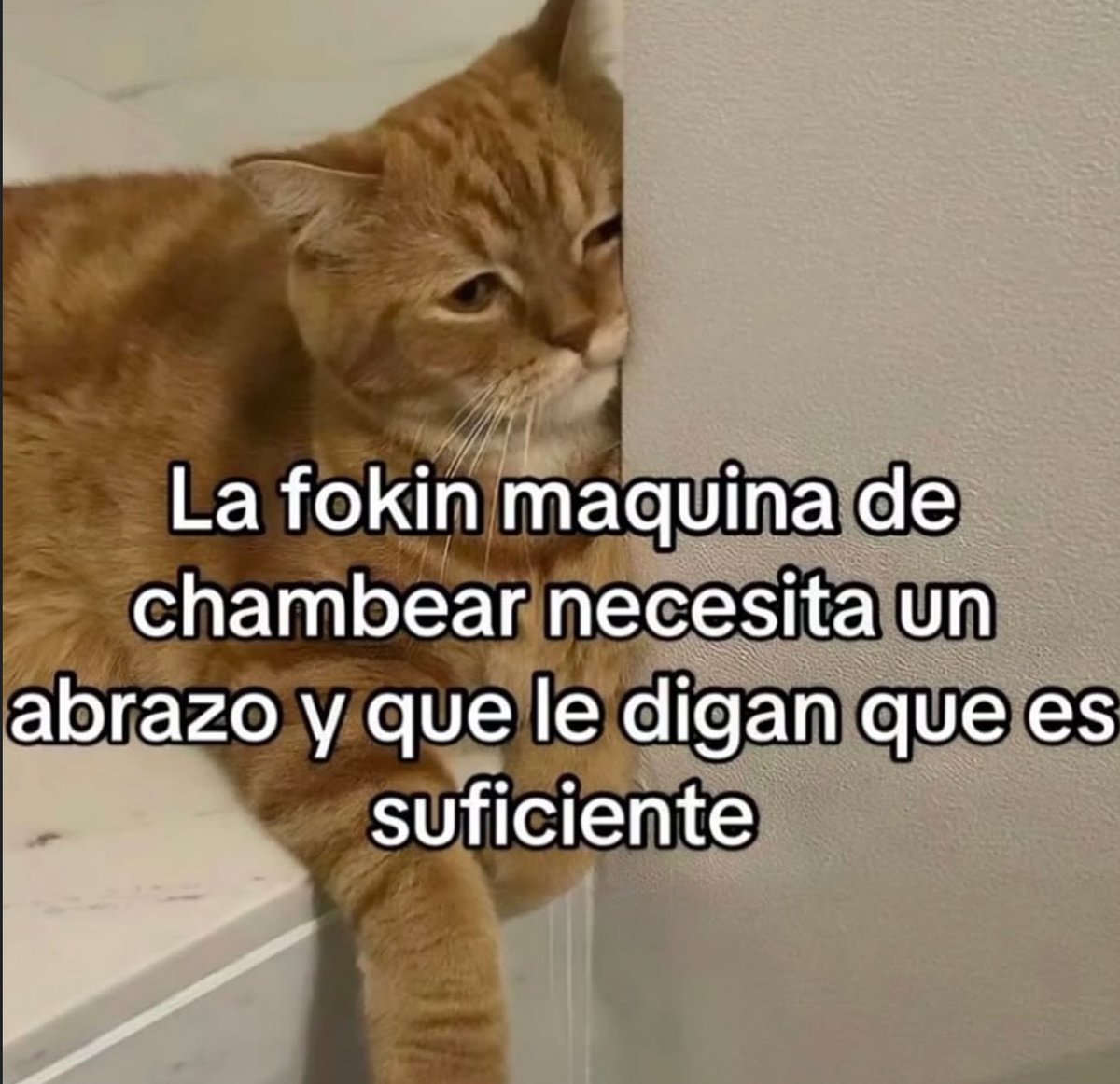 skereunpesado's tweet photo. https://t.co/qZO6CdRVFB